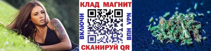 МЕФ Зерноград