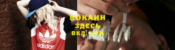 амф Елизово