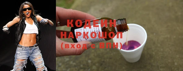 амф Елизово