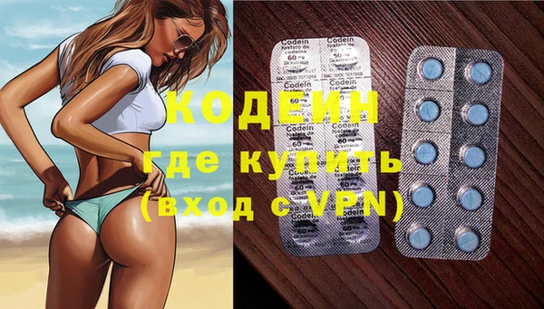 амф Елизово