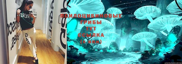 мдма Ельня