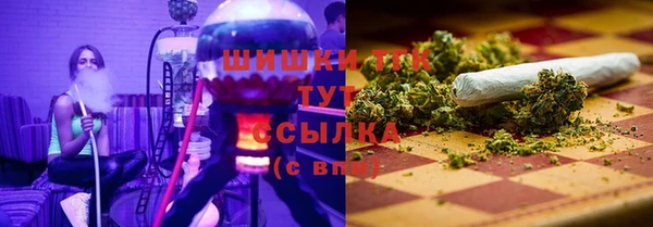 амф Елизово