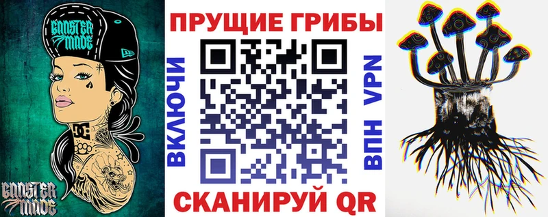 Галлюциногенные грибы Magic Shrooms  Купить где  Зерноград 